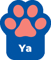 Cancer Gatos Sticker by Hill's Pet Nutrition EMEA