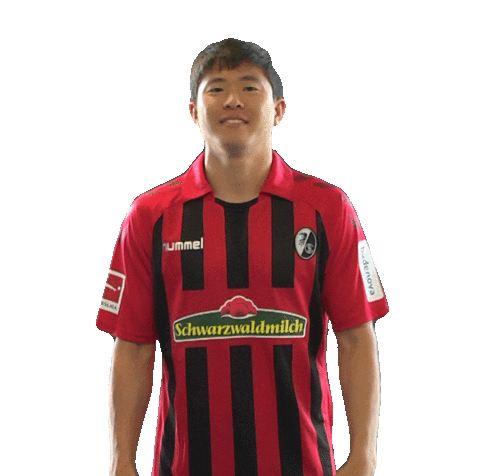 sc freiburg thumbs up Sticker by SCF