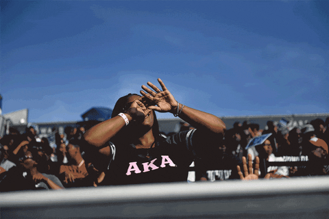 Alpha Kappa Alpha Dancing GIF by The Undefeated