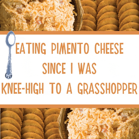 pimentocheese giphygifmaker giphyattribution cheese snack GIF
