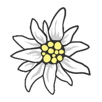 20Minuten_tSocial flower blume alpen tsocial Sticker