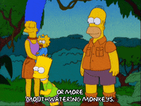 homer simpson GIF