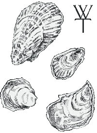Seafood Wt Sticker by Weston Table