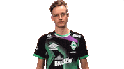 Fifa Ea Sticker by SV Werder Bremen