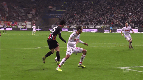 Save 1 Fc Cologne GIF by 1. FC Köln