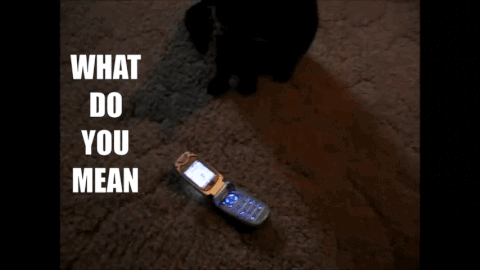 rejection GIF