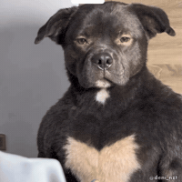 Serious Tattoo Artist GIF