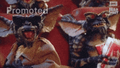 Fear Fest GIF by AMC Networks