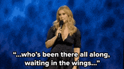 amy schumer comedy GIF