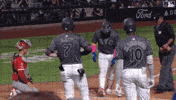 Celebrate Home Run GIF by New York Mets