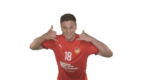 MHCCSKA giphyupload cska cskahandball gorpishin Sticker