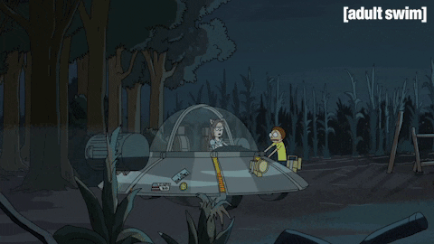 Season 2 Episode 209 GIF by Rick and Morty
