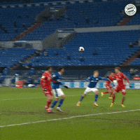 Champions League Reaction GIF by FC Bayern Munich
