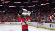Stanley Cup Playoffs Win GIF by NHL