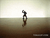 parrot GIF