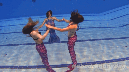 dragons den swimming GIF by CBC