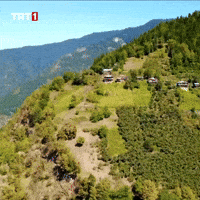 Fresh Air Forest GIF by TRT
