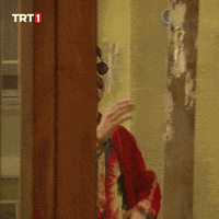 Happy Fun GIF by TRT