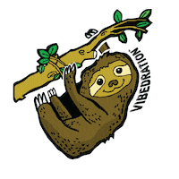 water festival Sticker by Vibedration