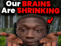 Shrinking GIF