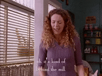 season 1 netflix GIF by Gilmore Girls 