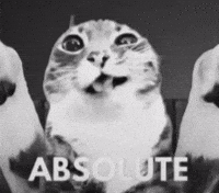 Cinema Cat Reaction GIF