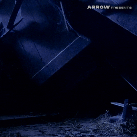 Film Camping GIF by Arrow Video