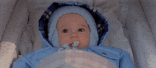 GIF by Ghostbusters