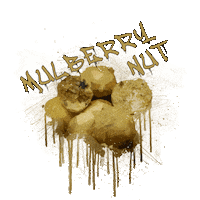 Tackle Carp Sticker by ACPBaits