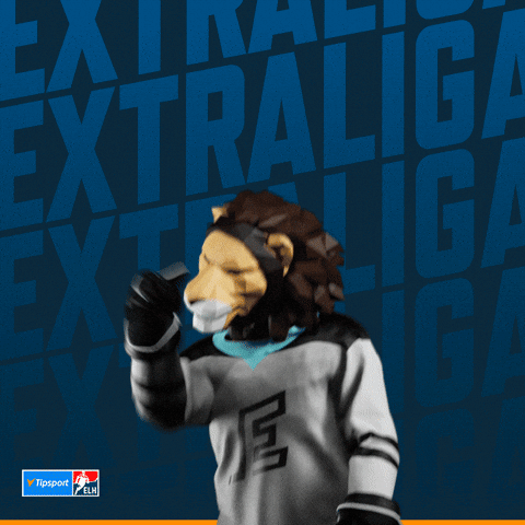 Hockey Vary GIF by Tipsport extraliga