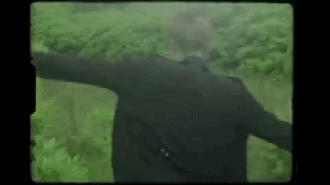 GIF by Eden