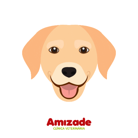 hospitalveterinarioamizade_ giphyupload dogs pets cachorro Sticker