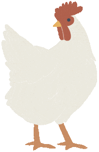 Illustration Bird Sticker