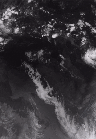 BorderMail giphygifmaker GIF