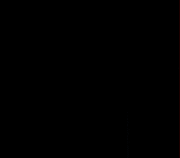 xingusementes  GIF
