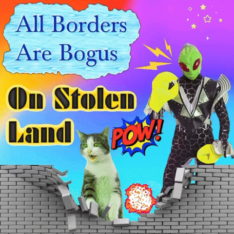 Cat GIF by Edgar Fabián Frías