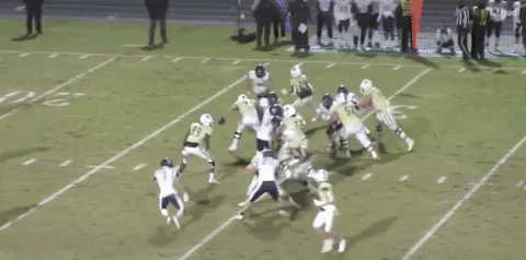 gregsmithe714 giphygifgrabber hailvarsity GIF