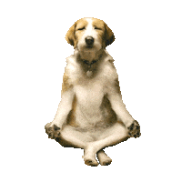 nacani dog puppy health chill Sticker