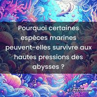 Adaptation Aux Hautes Pressions GIF by ExpliquePourquoi.com