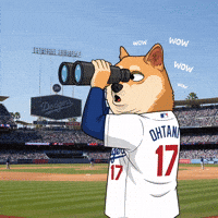 Shiba Inu Wow GIF by Doge Pound