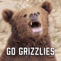 Go Grizzlies