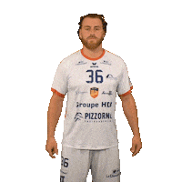 Johannes Srvhb Sticker by Saint-Raphaël Var Handball