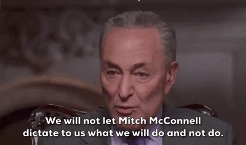 Chuck Schumer GIF by GIPHY News