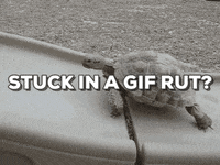 GIF by Juli