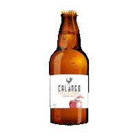Cheers Salud Sticker by Sidra Calango