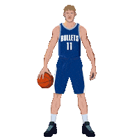 Brisbane Bullets Basketball Sticker by Panini America