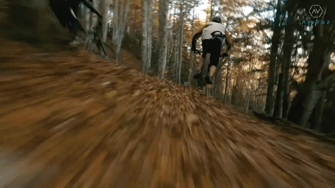 GIF by AirVuz