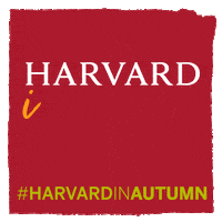 Harvard University Haa GIF by Harvard Alumni Association