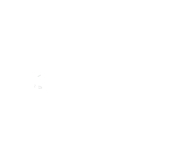 We Do Meraki Casamentos Sticker by We Do Meraki
