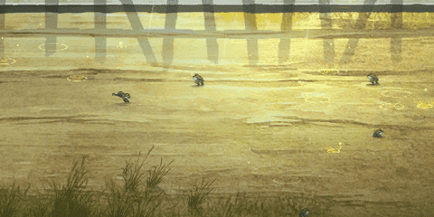 turna755 giphyupload GIF